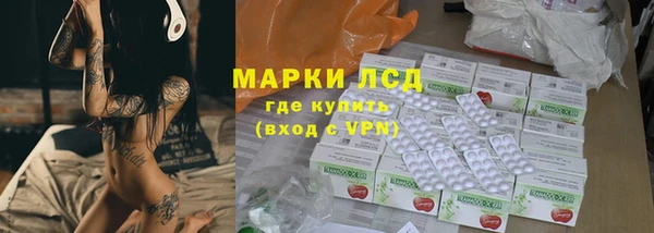 стафф Аркадак