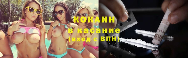 стафф Аркадак