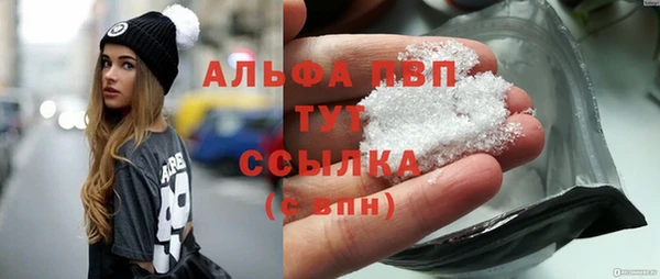 сатива Арсеньев