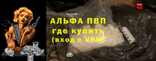 сатива Арсеньев
