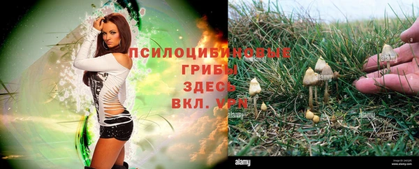 ешки Армянск