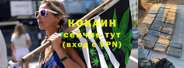 стафф Аркадак