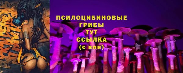 ешки Армянск